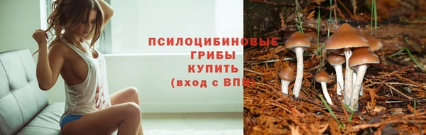 COCAINE Белокуриха