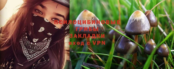 дживик Верея